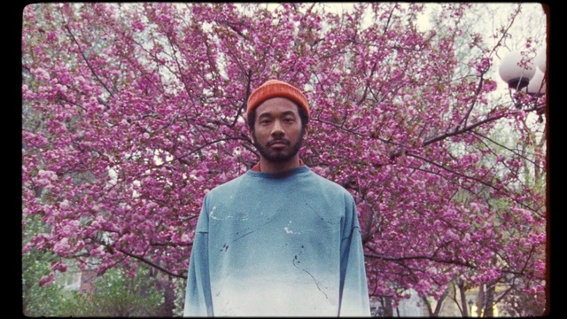 Video Reference: Spring, Flower, Plant, Blossom, Tree, Photography, Cherry blossom