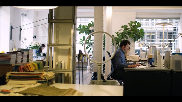 Video Reference: Houseplant, Snapshot, Room, Interior design, Building, Architecture, Design, Tree, Furniture, Window