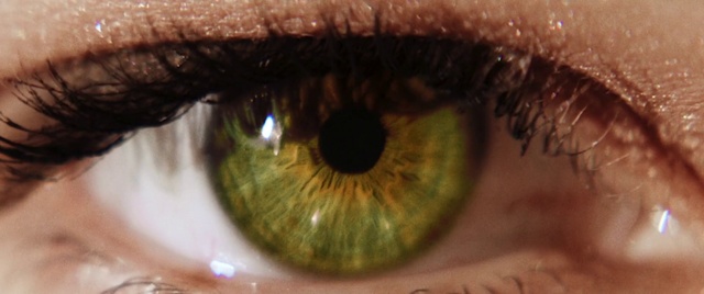 Video Reference: Iris, Eye, Eyelash, Green, Close-up, Organ, Eyebrow, Skin, Brown, Macro photography