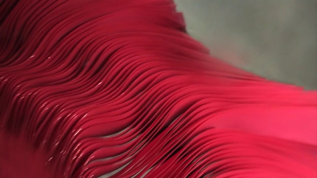Video Reference: red, close up, macro photography, magenta, petal, computer wallpaper