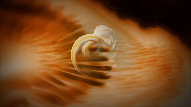 Video Reference: Wood, Liquid, Gas, Spiral, Landscape, Astronomical object, Heat, Peach, Circle, Macro photography