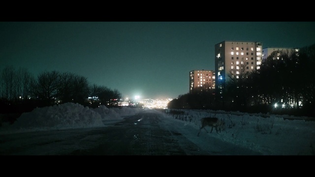 Video Reference: Snow, Nature, Sky, Winter, Freezing, Atmospheric phenomenon, Night, Urban area, Atmosphere, Evening