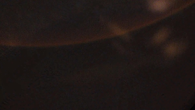 Video Reference: Black, Brown, Sky, Atmosphere, Darkness, Horizon, Space, Wood, Caramel color, Night