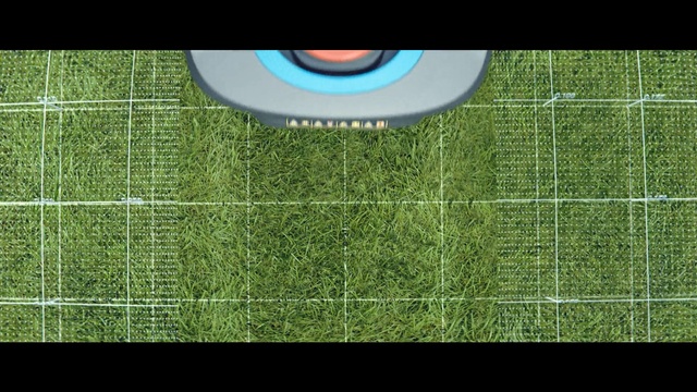 Video Reference: Green, Grass, Circle, Leaf, Artificial turf, Line, Plant, Lawn, Flooring, Font