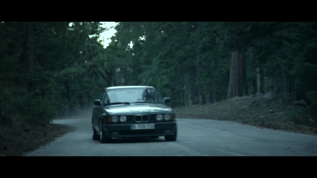 Video Reference: car, vehicle, woody plant, rallying, world rally championship, mode of transport, road, off roading, automotive exterior, automotive design