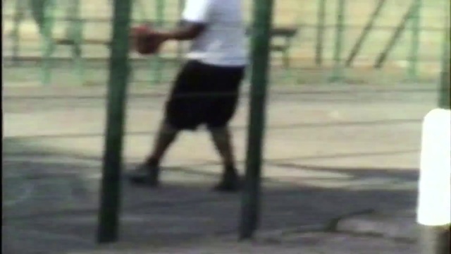 Video Reference: Fun, Footwear, Net, Dog agility, Play, Walking, Guard dog