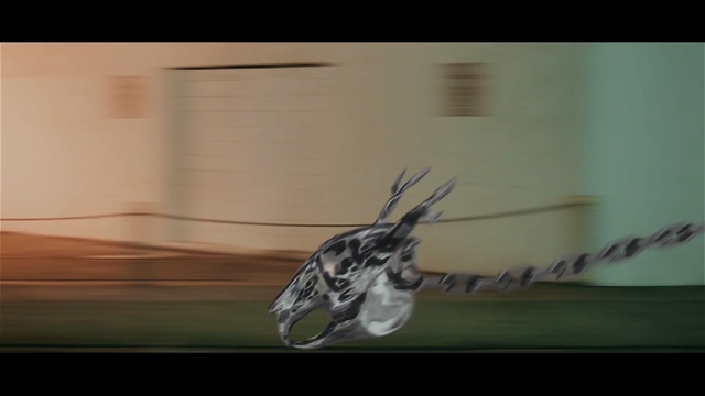 Video Reference: fauna, wing, insect, organism, moths and butterflies, screenshot, macro photography, pollinator, invertebrate