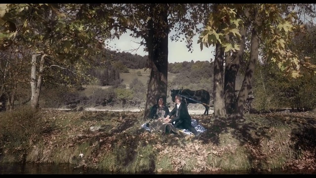 Video Reference: Nature, Natural environment, Tree, Grass, Forest, Woodland, Organism, Photography, Adaptation, Landscape