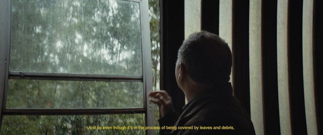 Video Reference: green, window, girl, tree, Person