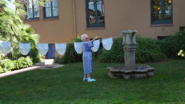 Video Reference: Lawn, Grass, Yard, Grass family, Tree, Backyard, Garden, Plant, Shrub, Landscaping