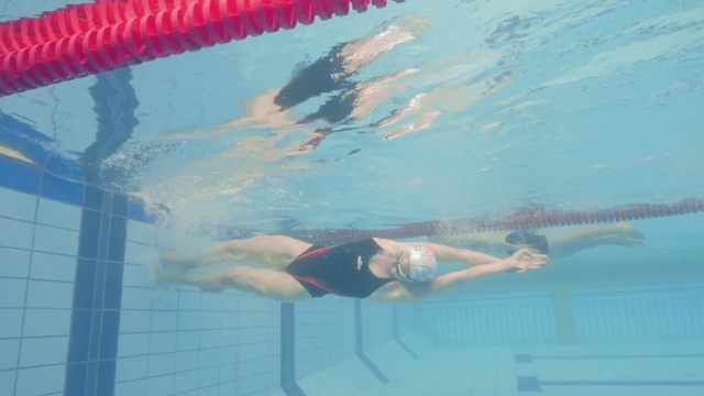 Video Reference: Swimming, Swimmer, Medley swimming, Recreation, Backstroke, Individual sports, Freestyle swimming, Leisure centre, Water, Swimming pool, Person, Sport, Bird, Sitting, Table, Pool, Boat, Small, Floating, Reflection, Man, Body, Red, Glass, Large, Board, Umbrella, Perched, Flying, Blue, Ocean, Water sport, Text