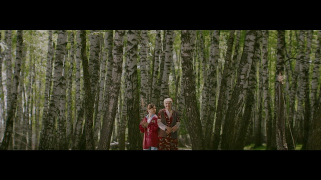 Video Reference: tree, woodland, nature, forest, ecosystem, photograph, green, wilderness, woody plant, flora