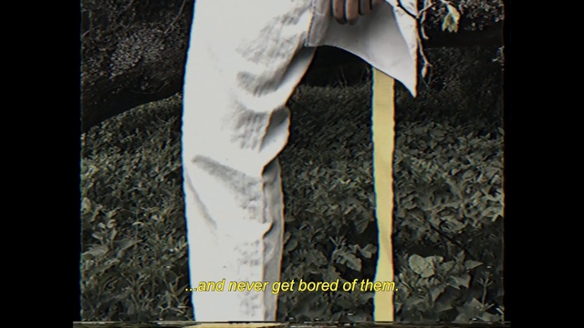 Video Reference: tree, font