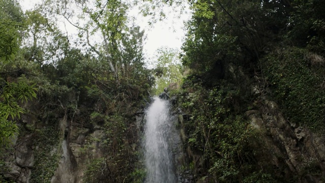 Video Reference: Water resources, Waterfall, Body of water, Nature reserve, Nature, Vegetation, Water, Natural landscape, Watercourse, Jungle