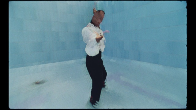 Video Reference: Photography, Recreation