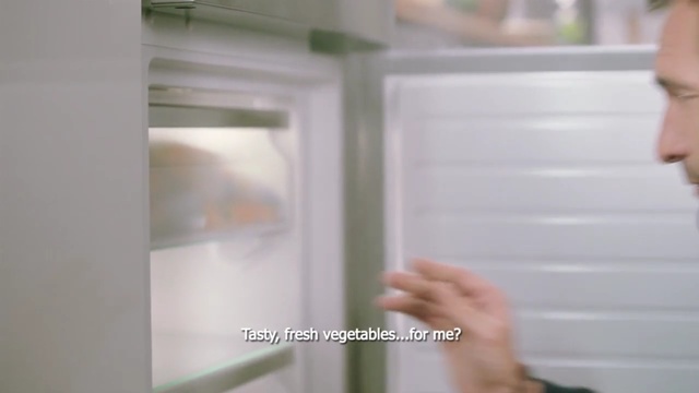 Video Reference: Window covering, Window, Window treatment, Room, Window blind, Interior design, Glass, Refrigerator, Door