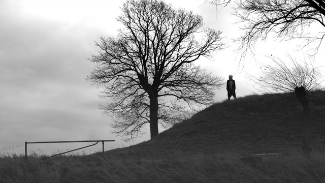 Video Reference: Tree, Branch, Black-and-white, Monochrome photography, Sky, Monochrome, Woody plant, Photography, Stock photography, Plant
