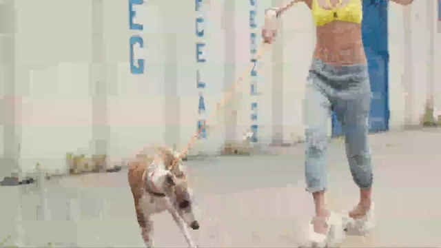 Video Reference: mammal, dog, dog like mammal, joint, product, snout, leash, dog walking, dog breed group, jeans, Person