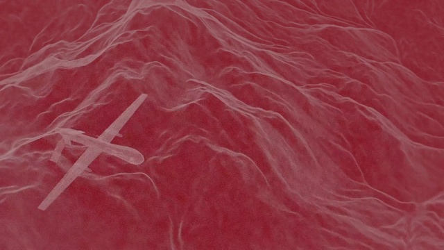 Video Reference: Red, Pink, Maroon, Textile, Magenta, Pattern, Peach, Space