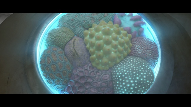 Video Reference: Organism, Marine biology, Pollen, Photography