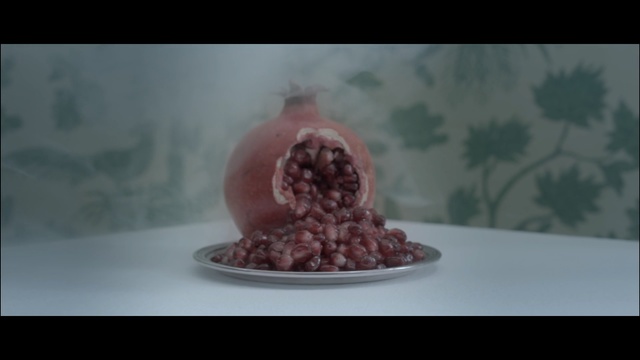 Video Reference: still life photography, still life, organism, flesh