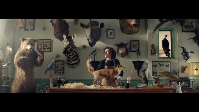 Video Reference: case, Person