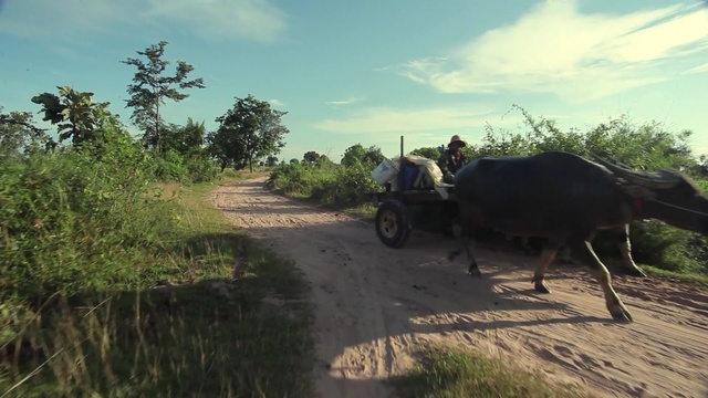 Video Reference: mode of transport, road, path, wildlife, rural area, sky, safari, savanna, jungle, national park