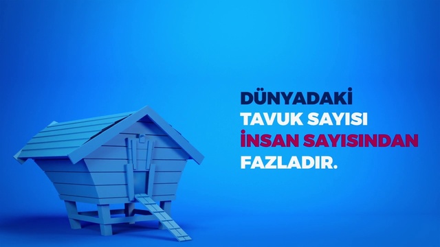 Video Reference: Blue, Product, Property, House, Azure, Real estate, Roof, Font, Architecture, Shed