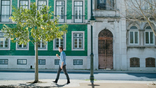 Video Reference: green, tree, woody plant, town, urban area, building, plant, house, neighbourhood, facade