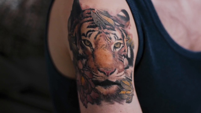 Video Reference: Bengal tiger, Tiger, Tattoo, Shoulder, Felidae, Arm, Wildlife, Joint, Big cats, Carnivore