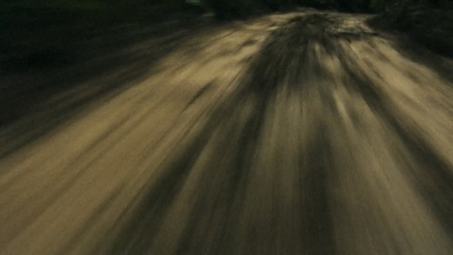 Video Reference: road, sky, wood, sunlight, soil, grass, ecoregion, computer wallpaper, dirt road, landscape