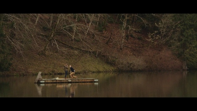 Video Reference: nature, water, reflection, river, wildlife, waterway, fauna, wilderness, bayou, tree