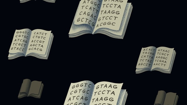 Video Reference: Games, Font, Text, Label, Recreation, Pattern