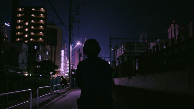 Video Reference: night, darkness, urban area, purple, light, lighting, city, metropolis, atmosphere, reflection