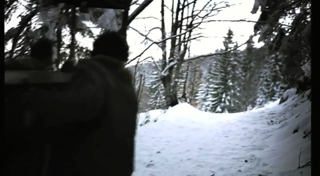 Video Reference: snow, winter, tree, photograph, nature, black, freezing, ecosystem, woody plant, footwear