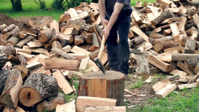 Video Reference: Wood, Wood chopping, Logging, Lumber, Traditional sport, Tree, woodworking, Trunk