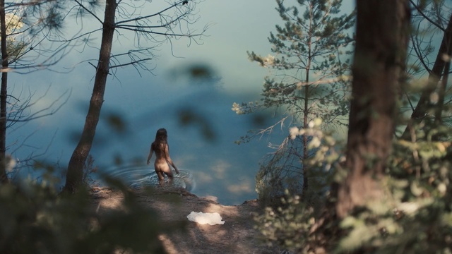 Video Reference: tree, nature, woody plant, branch, wilderness, ecosystem, forest, woodland, sky, leaf, Person