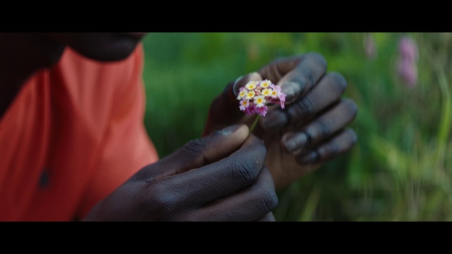 Video Reference: Hand, Finger, Flower, Plant, Petal, Nail, Photography, Close-up, Fashion accessory, Macro photography