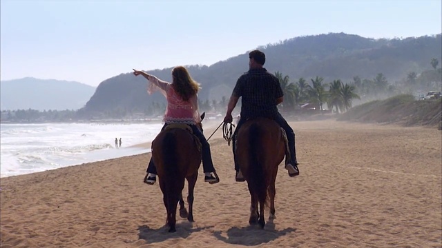 Video Reference: Horse, Equestrianism, Trail riding, Rein, Animal sports, Recreation, Pack animal, Bridle, Mare, Stallion