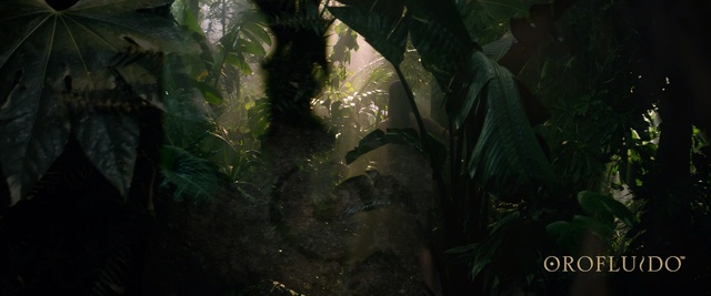 Video Reference: green, vegetation, leaf, jungle, darkness, water, forest, organism, rainforest, tree