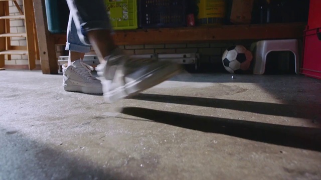 Video Reference: Floor, Flooring, Hardwood, Room, Asphalt, Tile, Cat, Wood, Concrete, Sidewalk