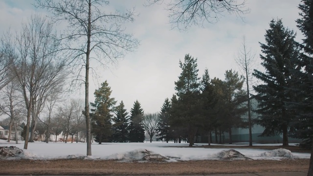 Video Reference: Snow, Winter, Tree, Nature, Sky, Atmospheric phenomenon, Freezing, Natural landscape, Frost, Woody plant, Person