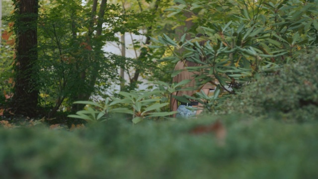 Video Reference: vegetation, ecosystem, tree, plant, leaf, branch, grass, woodland, biome, jungle, Person