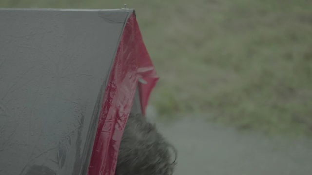 Video Reference: red, pink, grass