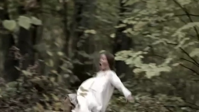 Video Reference: Nature, Natural environment, Forest, Tree, Woodland, Kung fu, Photography, Jungle, Plant, Branch