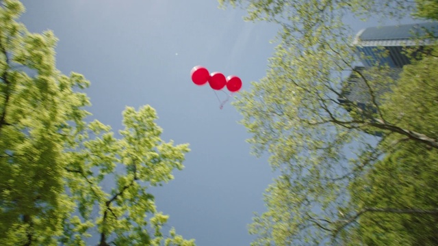 Video Reference: Green, Balloon, Sky, Tree, Red, Daytime, Leaf, Yellow, Branch, Spring, Outdoor, Small, Plane, Flying, Forest, Air, Street, Traffic, Man, Riding, Traveling, Airplane, Large, Landing, White, Game, Field, Driving, Train, Sign, People, Frisbee, Woman, Playing, Standing, Tall, Clock, Aircraft, Traffic light, Wooded
