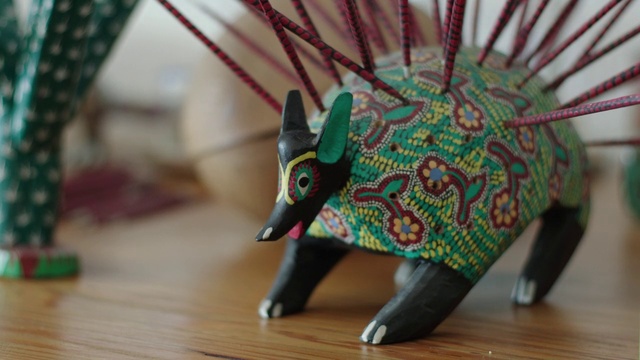 Video Reference: Snout, Armadillo, Cingulata, Suidae, Triceratops, Art