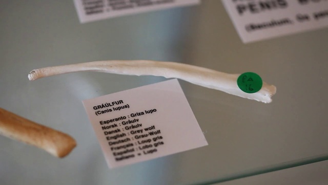 Video Reference: Material property