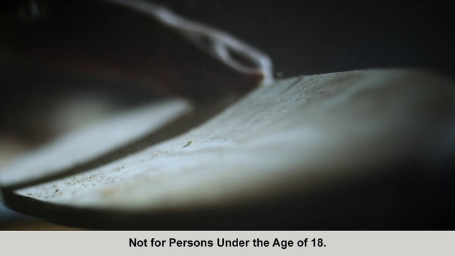 Video Reference: White, Close-up, Still life photography, Black-and-white, Photography, Hand, Darkness, Macro photography, Stock photography