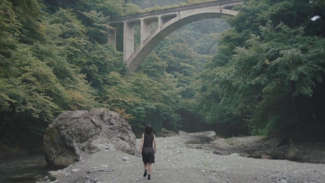Video Reference: Bridge, Arch bridge, Water, Water resources, Devils bridge, Nature reserve, Aqueduct, Highland, Geological phenomenon, Viaduct